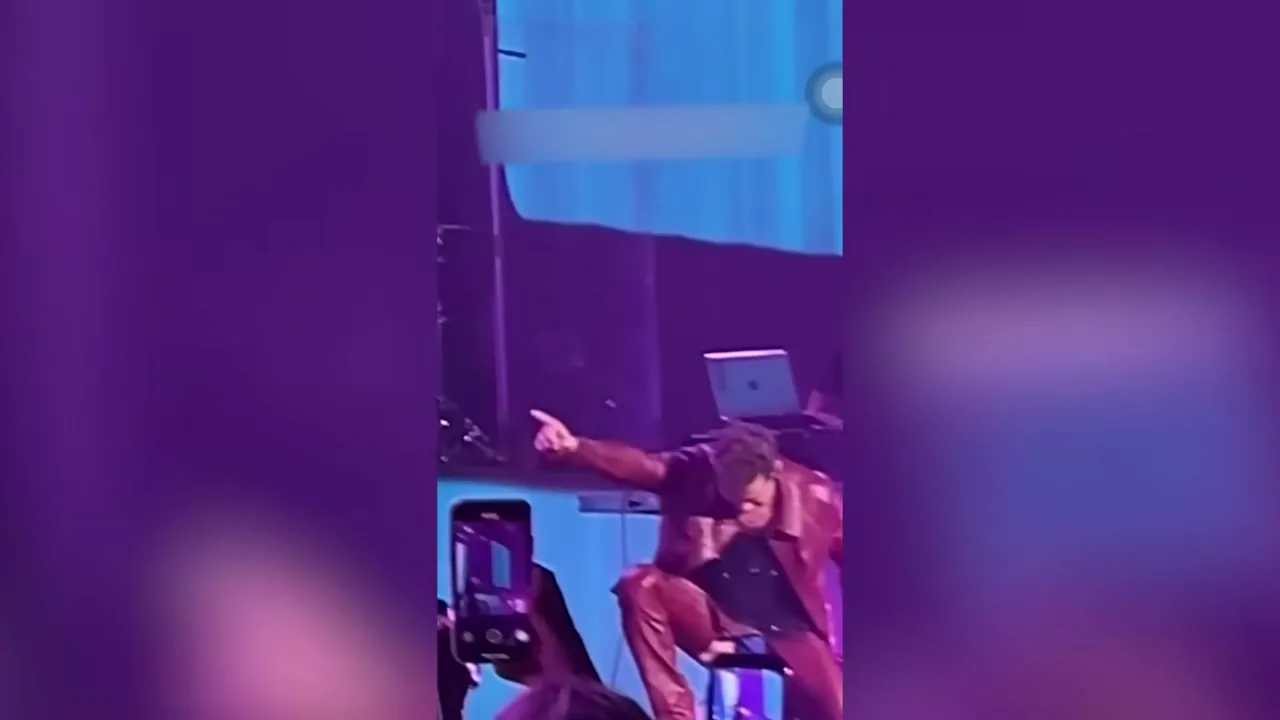 shows-en-vivo — casino en vivo